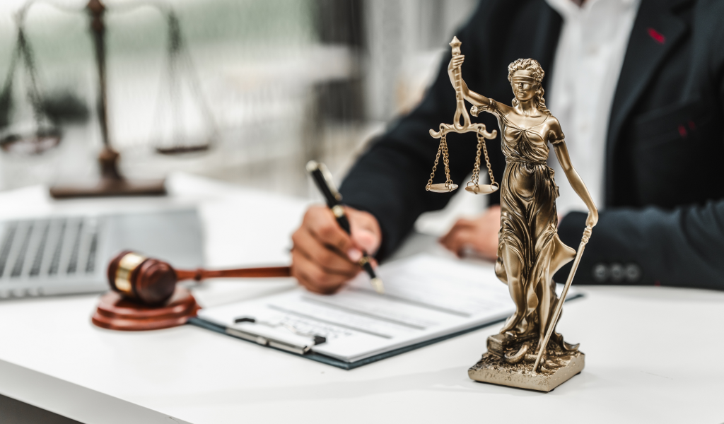 Professional Litigation Services in Toronto & Beyond