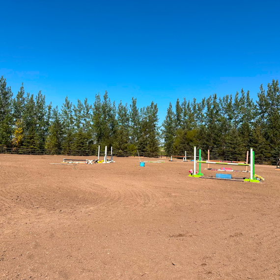 Horse Riding Lessons Regina