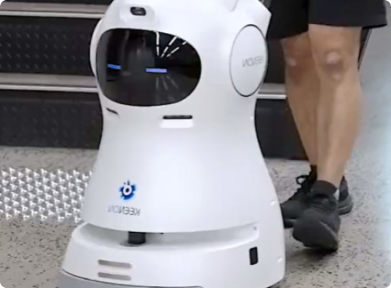 Robotic Automation Solutions