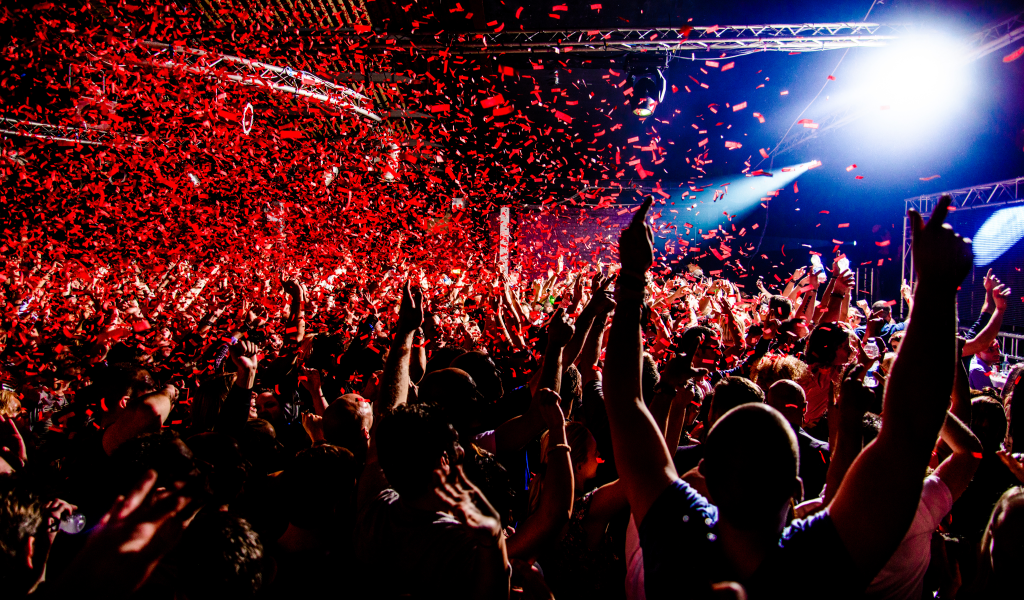 energetic DJ performances