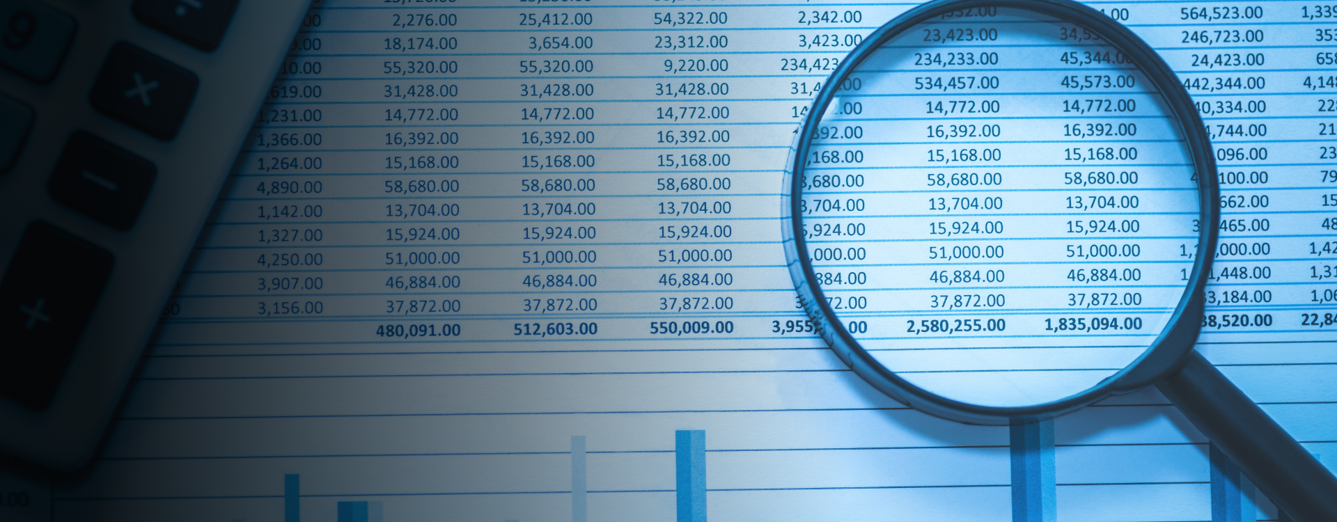 Expert Audit & Forensic Accounting Services to Protect Your Business