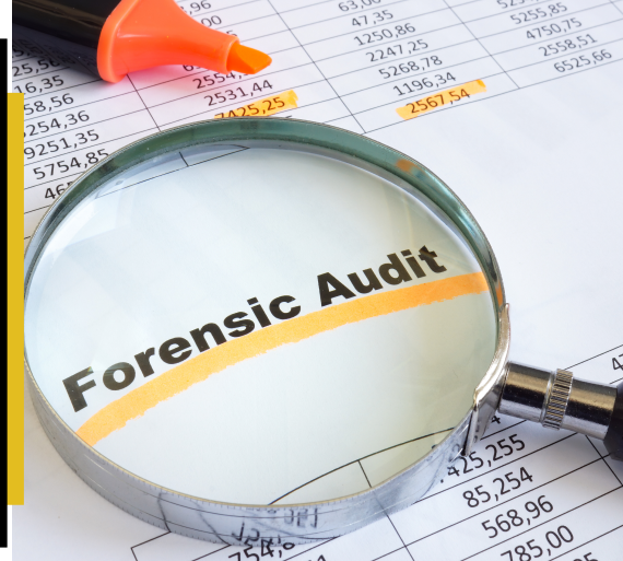 Forensic Accounting & Fraud Investigation