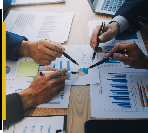 Business Entity Selection & Formation