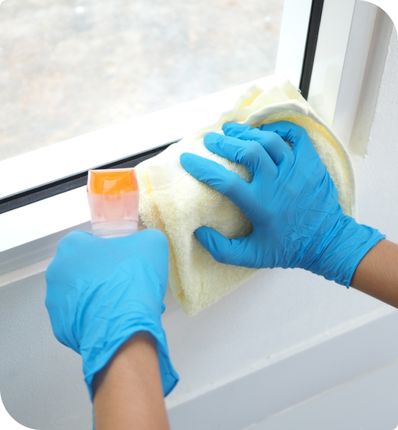 eco-friendly cleaning solutions