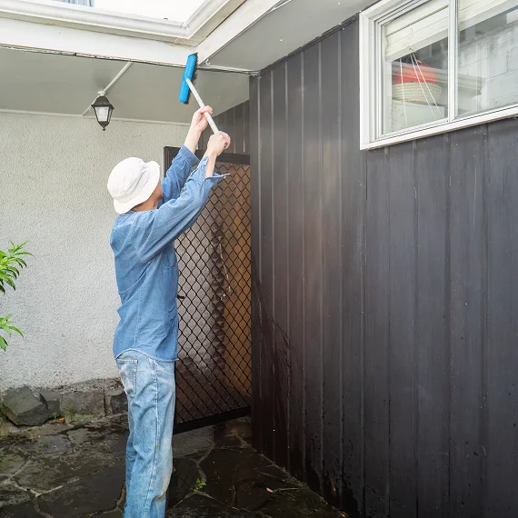Soffit and Fascia Cleaning