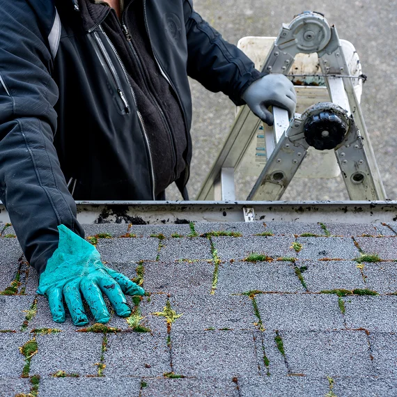 Roof Moss Removal