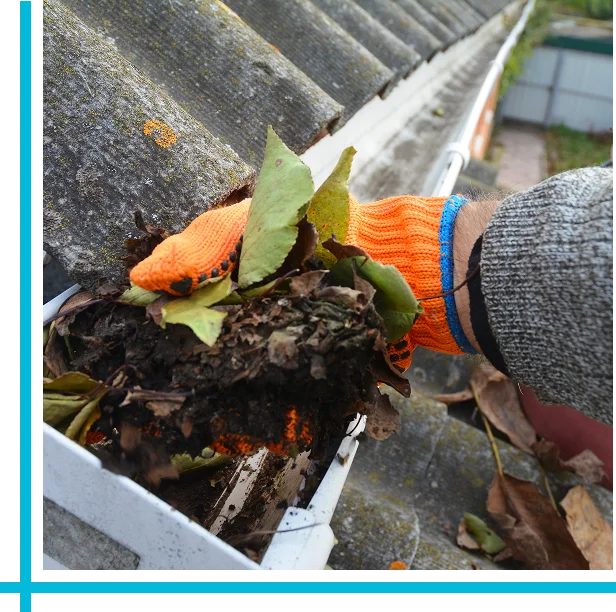 Affordable Gutter Cleaning Cost in Burnaby