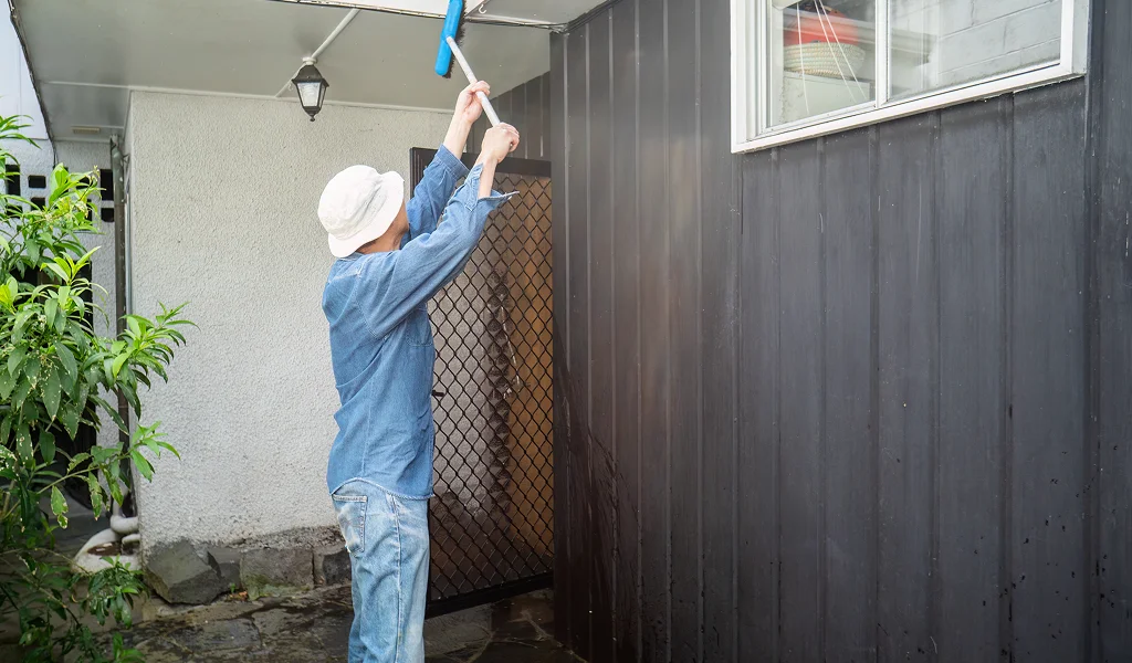Professional Soffit and Fascia Cleaning