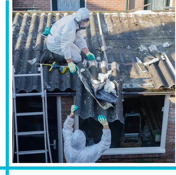 Roof Moss Removal in Burnaby