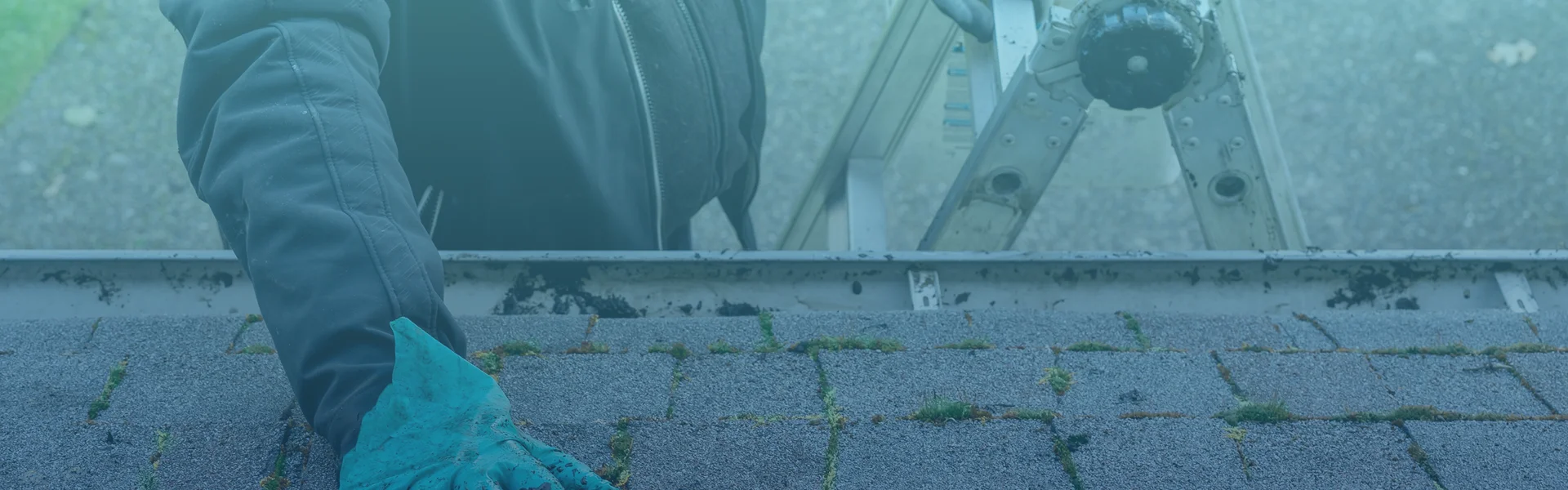 Expert Roof Moss Removal and Prevention Services in Vancouver