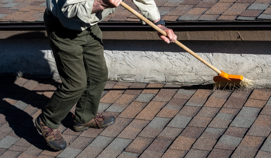 Professional Roof Cleaning Services in Burnaby