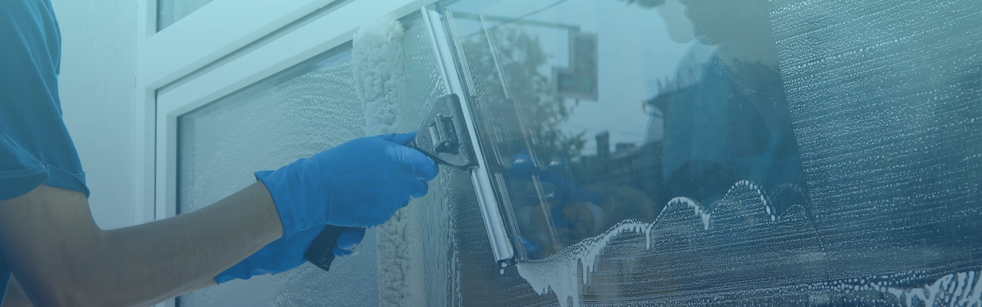 Expert Window Cleaning and Washing Services