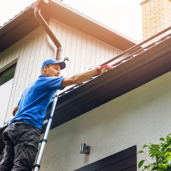Roof Cleaning