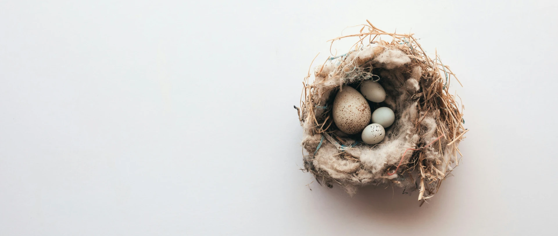 Fiduciary investment advisors