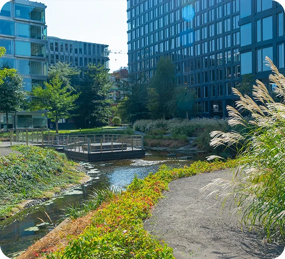 environmental consulting