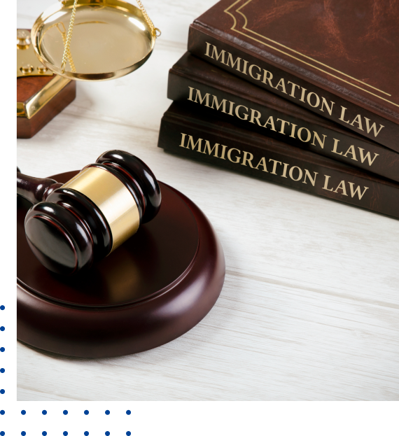 expert legal representation