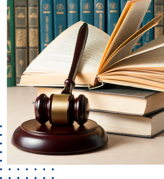 expert legal representation