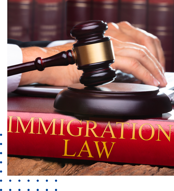 expert legal representation