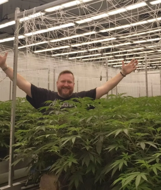 cannabis compliance experts