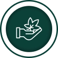cannabis industry compliance