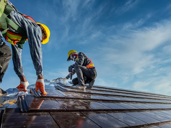 Structural Engineering Consulting

