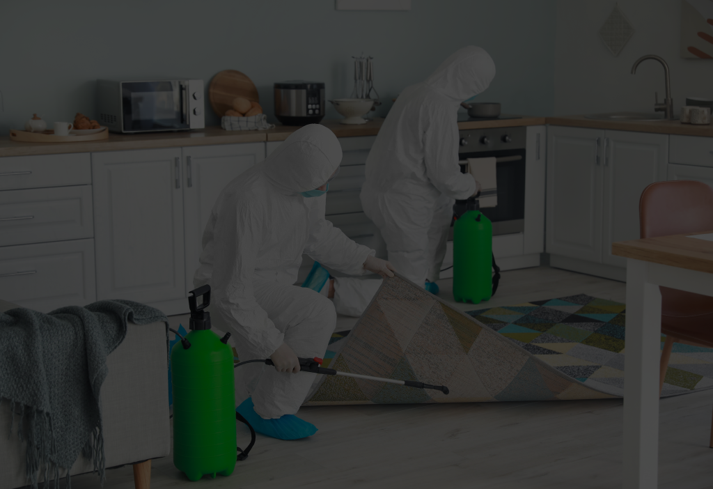 Professional Disinfection Services in Greensboro, NC
