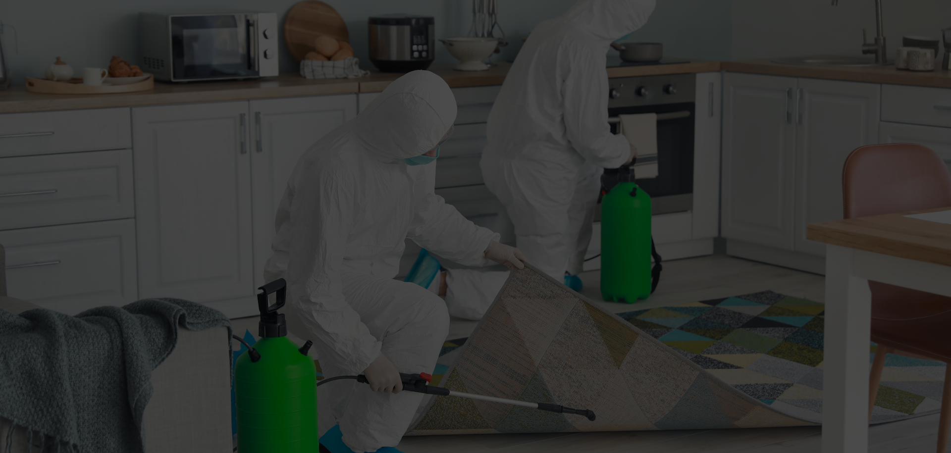 Professional Disinfection Services in Greensboro, NC