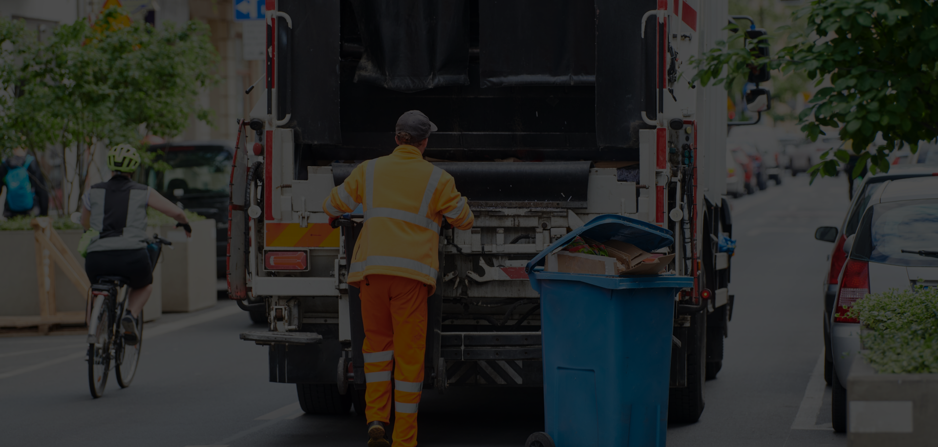 Junk Removal Services