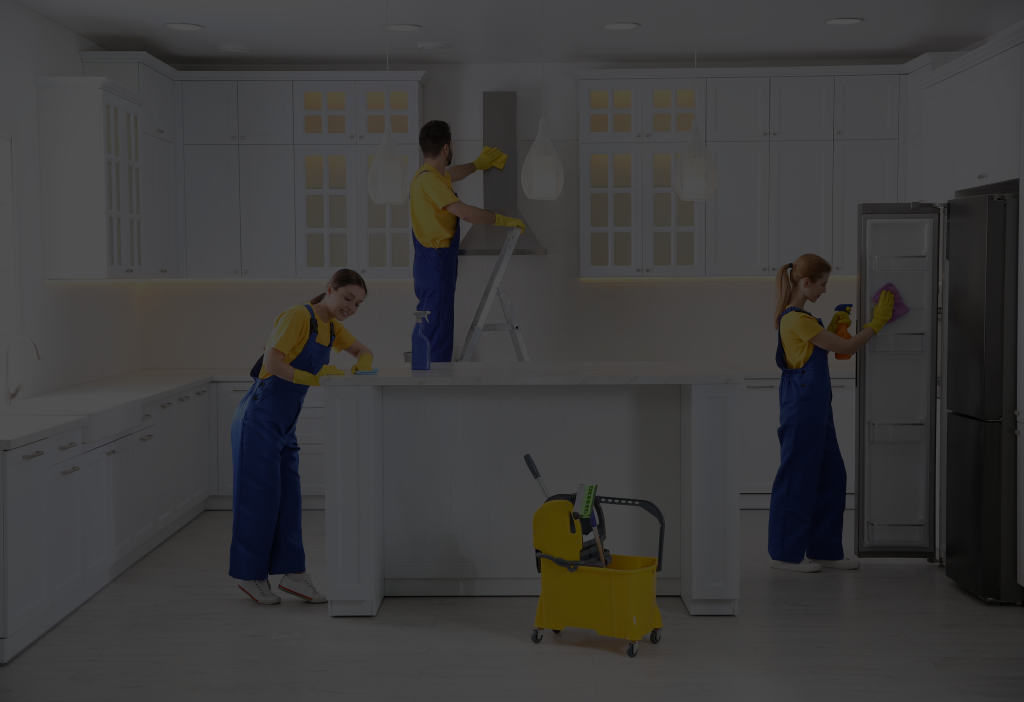 Expert home cleaning services