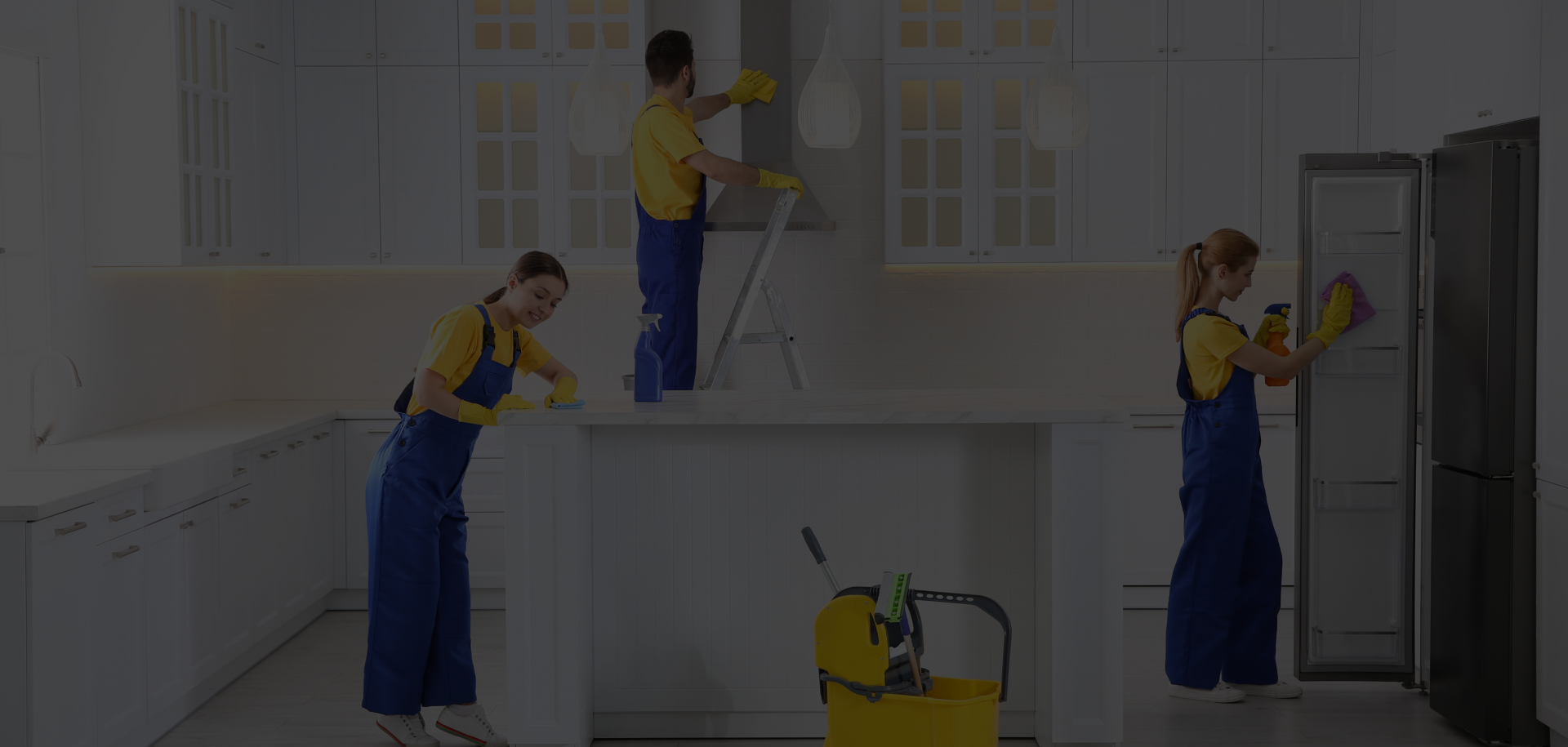 Expert home cleaning services