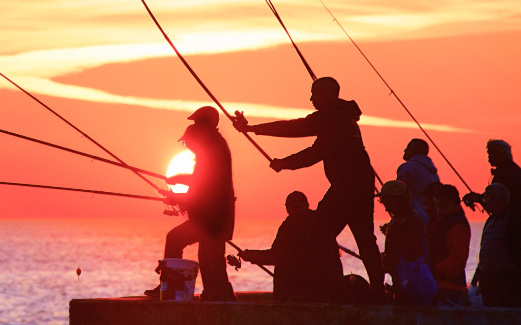 fishing workshops