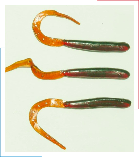 catch more fish
