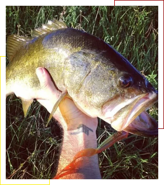 learn from fishing experts