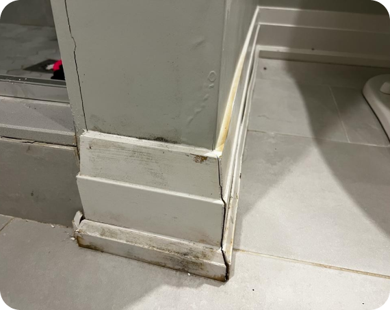 custom renovation projects