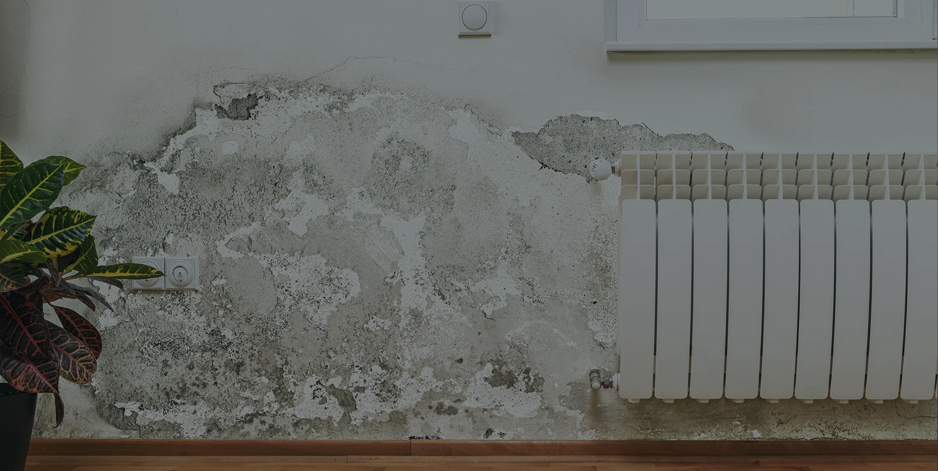 Property Management Company Toronto