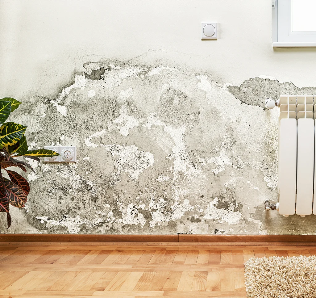 Property Management Company Toronto