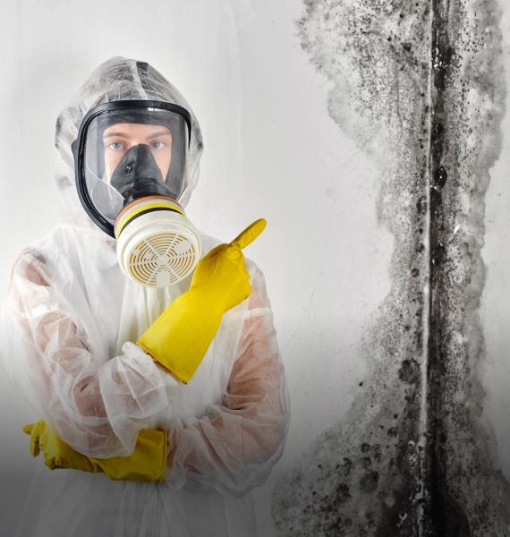 trusted local contractors