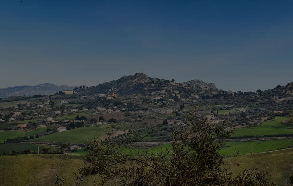 Thermal imaging drone service Columbus inspection