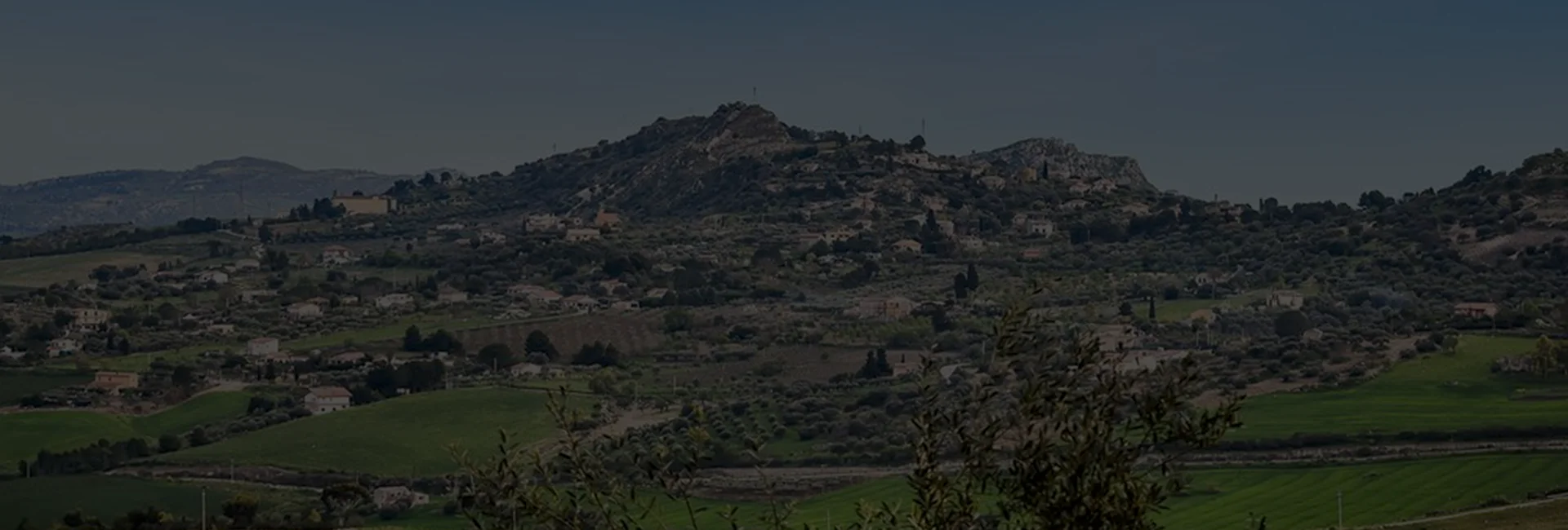 Thermal imaging drone service Columbus inspection