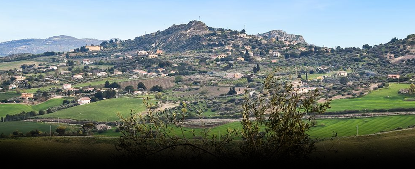 Case Studies: ARO Aerial’s Success in Construction Projects