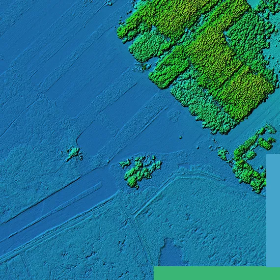 Forestry & Environmental