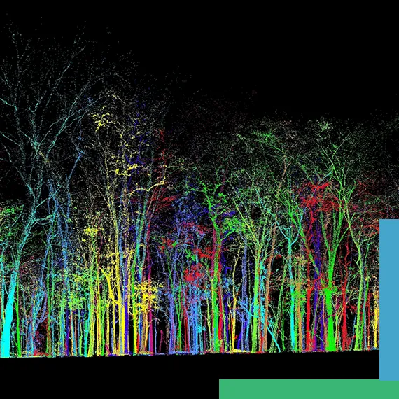 Forestry & Vegetation Management LiDAR Case Studies – Seeing Through the
Canopy