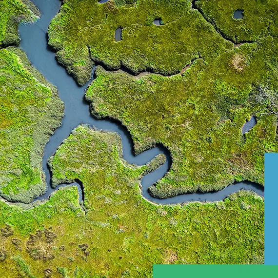 Environmental & Watershed LiDAR Case Studies – Data for Conservation &
Compliance