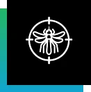 Termite & Pest Inspections