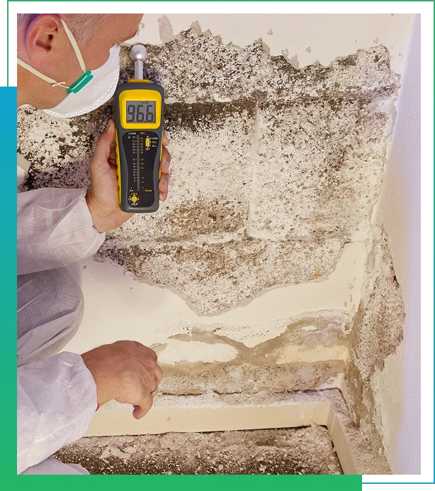 Mold Testing Services in Kansas City