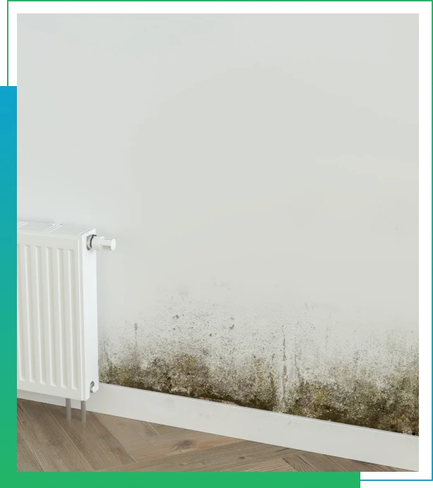 Radon Inspection Service