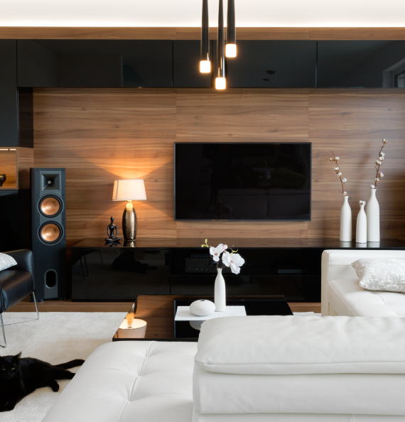 Entertainment Center Cabinetry