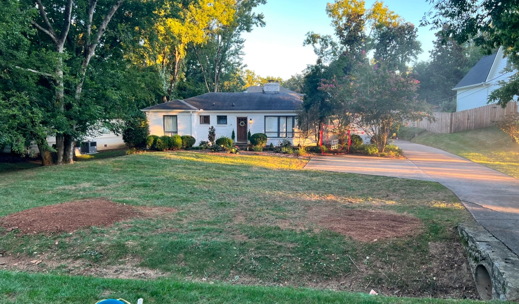 Nashville arborist expertise