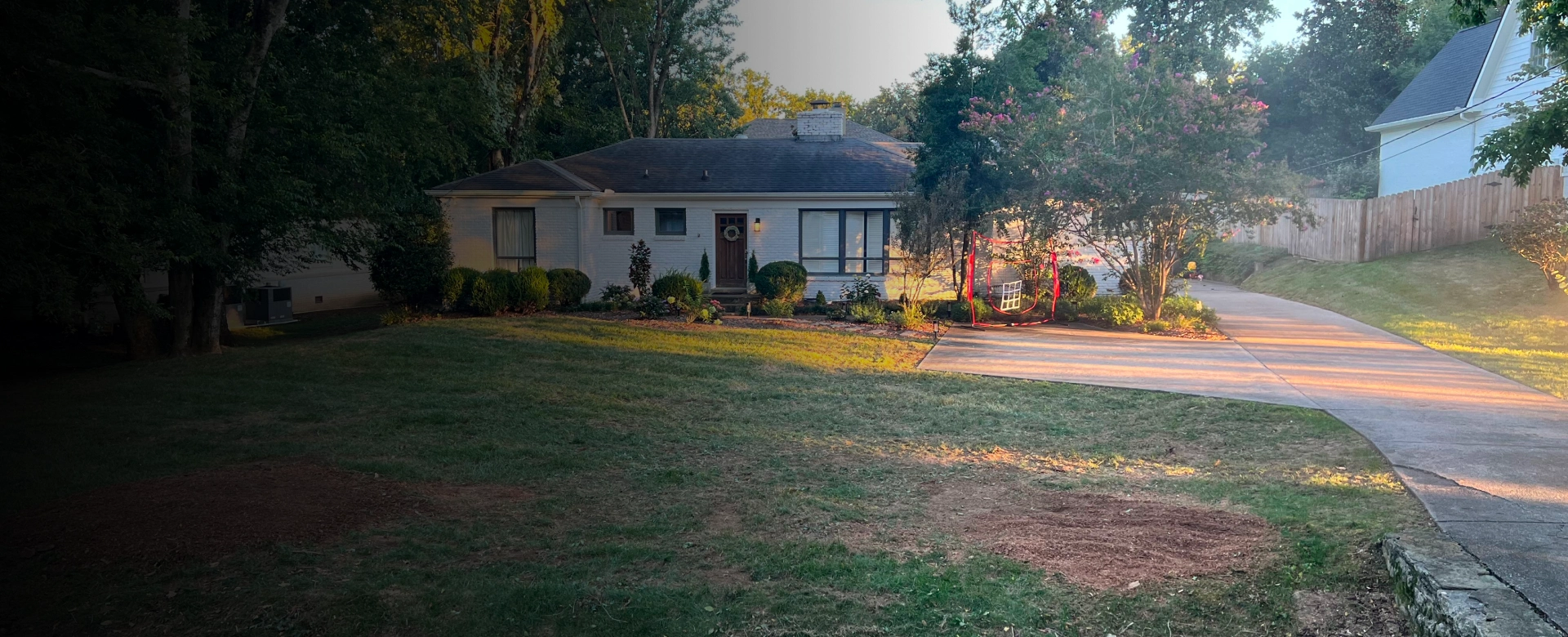 Nashville arborist expertise