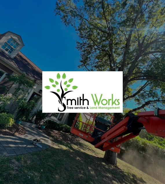 tree care commitment